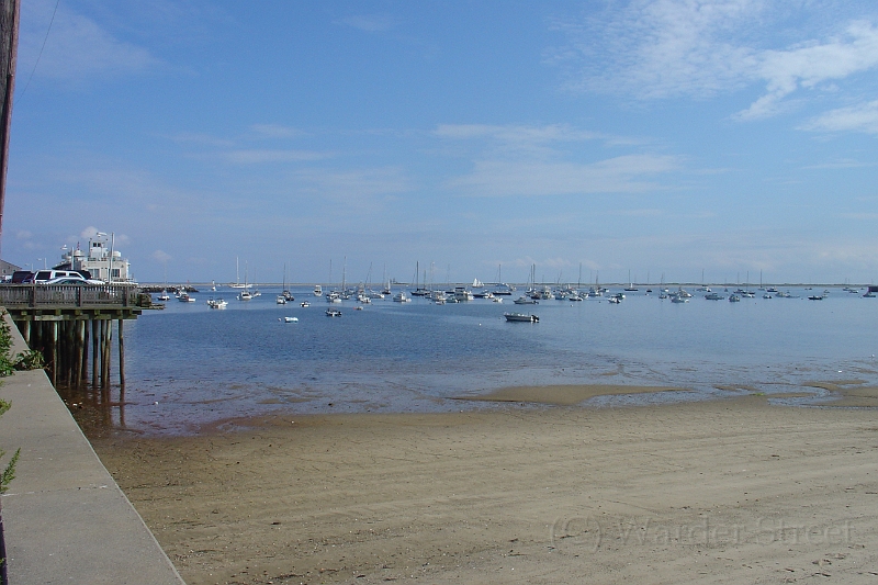 Cape Cod 2008 16.jpg